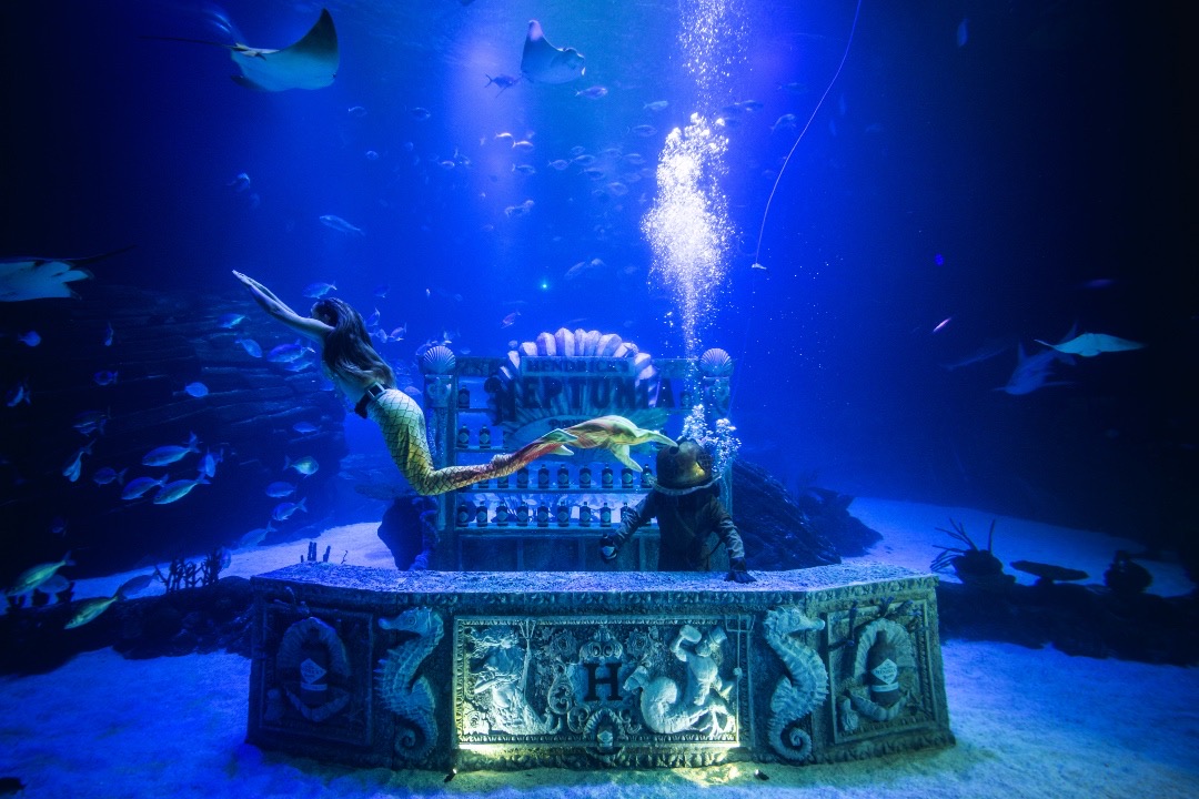 4AD2A281-2F73-4F73-90A7-A4ED3F8C3928-1669127269-2