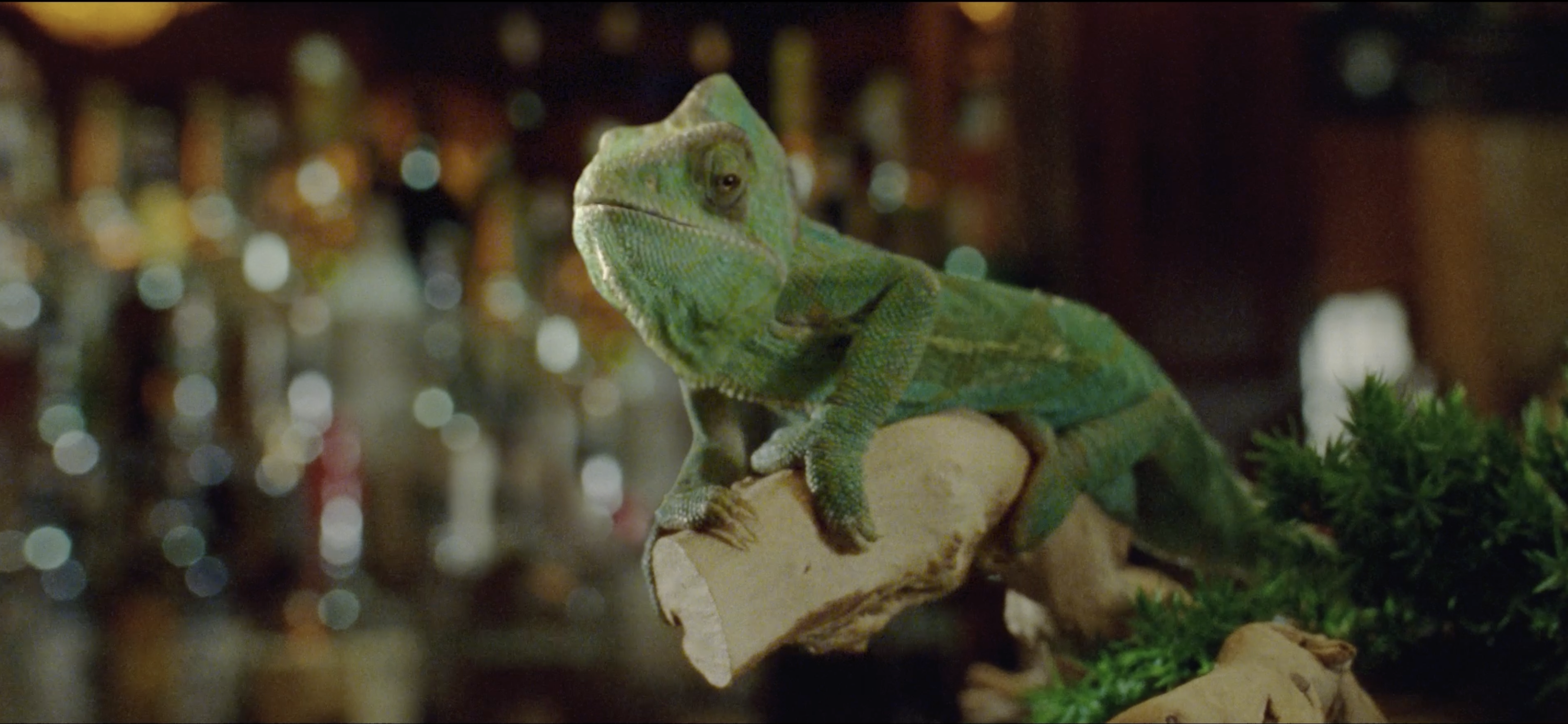 Captura de pantalla 2024-09-22 a las 21.10.27