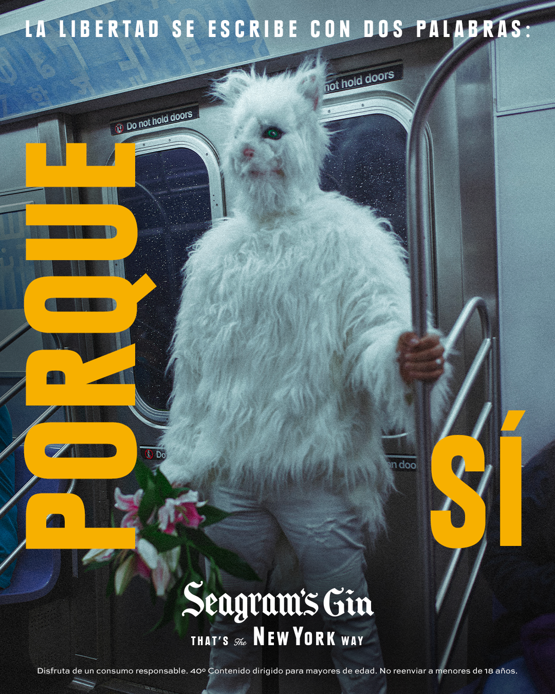 gato en el metro – 1080×1350