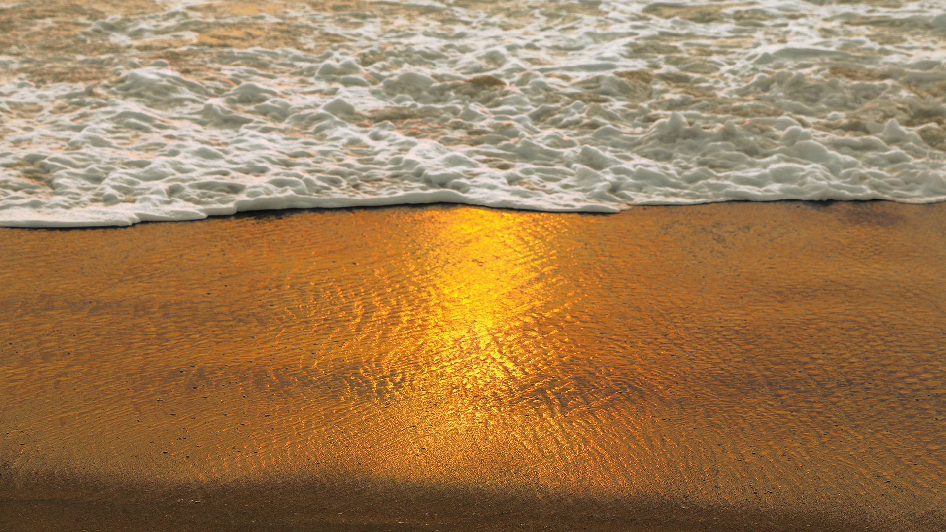 beershore horizontal